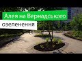 Алея на Вернадського: озеленення та освітлення