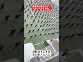 【体育祭ダンス】体育祭の男子のダンスの団結力がレベチすぎる…#shorts#tiktok#おすすめ#運動会#体育祭#体育祭ダンス