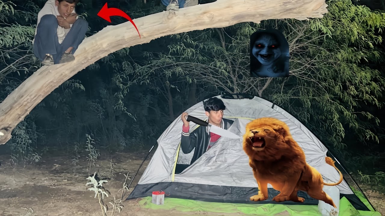 Night Jungle Camping Gone Wrong 😱 | Animals Attacked Us & Our Tent