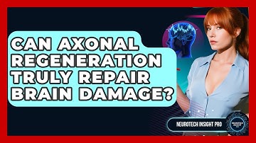 Can Axonal Regeneration Truly Repair Brain Damage? - Neurotech Insight Pro