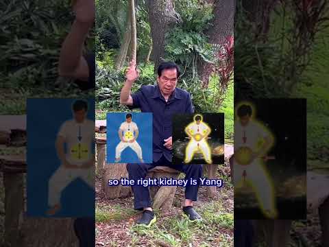 Vídeo: Energy Qi, Taiji, Qigong