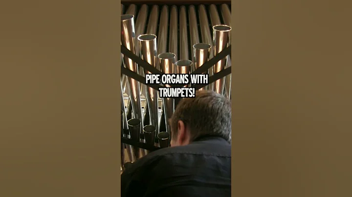 21 Amazing Pipe Organs! PIPE ORGAN LOOK BACK 2022