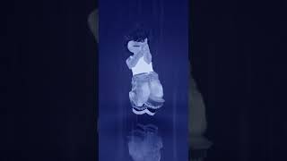 De quelle pays s'agit-il ?