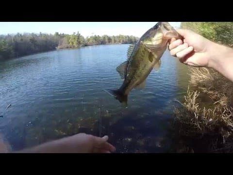 Bass Fishing North Shore MA 