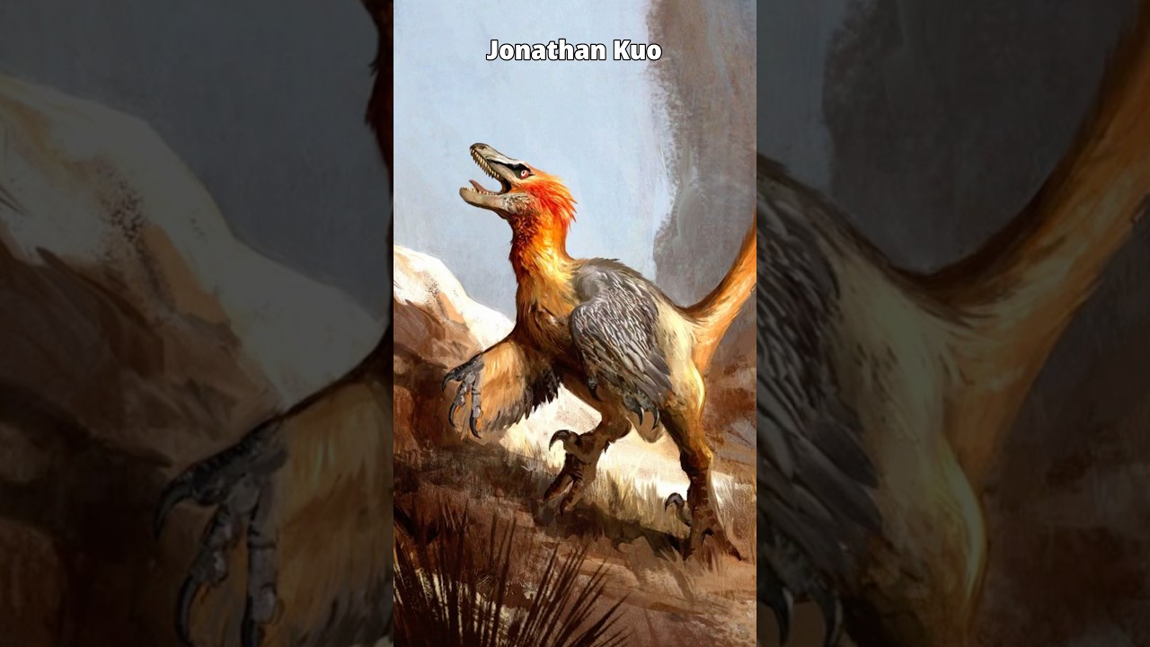 How we Know Certain Dinosaurs had feathers