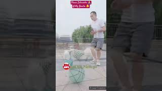 OMG Talented Puppy LOL omg talent puppy lol shorts shortvideo