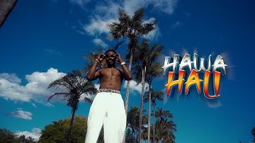 Hawahali-JiGi (Feel Good) Official Music Video ​