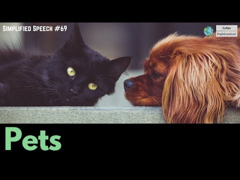 Video: Dog Park Discourse 101: Conversation Starters