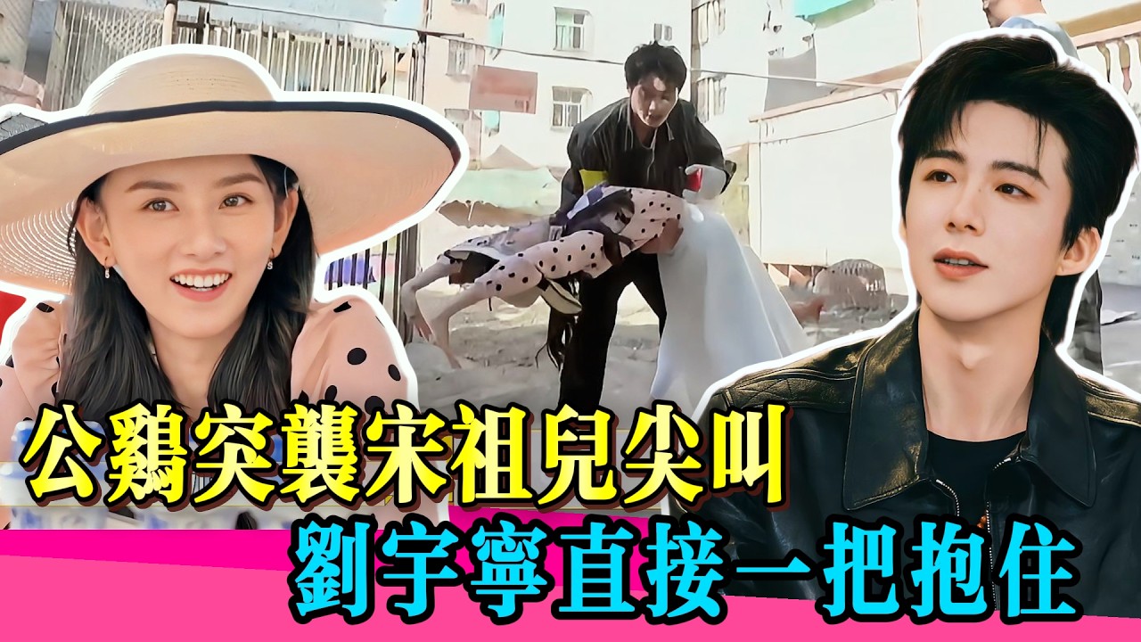 劉宇寧緊急攙扶下腰太寵！宋祖兒被公雞嚇瘋！#宋祖儿 #刘宇宁 #折腰 #赵露思 #综艺 #劉宇寧 #宋祖兒 #麻花特开心 #沈腾 #马丽 #小沈阳 #常远 #艾伦