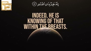 القارئ علي نمير﴿ أَوَلَمْ يَرَوْا إِلَى الطَّيْرِ فَوْقَهُمْ صَافَّاتٍ وَيَقْبِضْنَ ۚ }سورة الملك