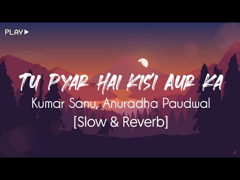 Tu Pyar Hai Kisi Aur Ka Slow  Reverb  Kumar Sanu Anuradha Paudwal  90s Song  90s Flashback