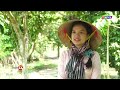 Bé trai 2 tuổi bị mẹ và người tình bạo hành qua cơn nguy kịch | Người đưa tin 24H (6h30 - 7/5/2026)