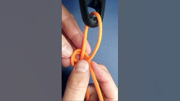How to tie very simple but very powerful Scaffold knot. Great rope knot trick and skills. #Shorts