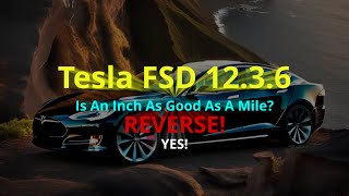 Tesla FSD 12.3.6 When Reverse Happens-Is An Inch As Good As A Mile? #tesla #fsd12 #