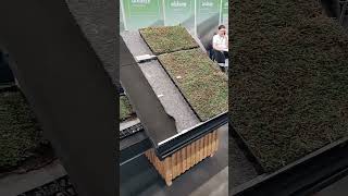 Dach forum, įdomesnės parodos akimirkos #paroda #Lenkija #stogodanga #naujiena #karkasa #stogas