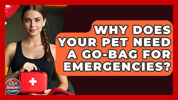 Why Does Your Pet Need A Go-bag For Emergencies? - Your Emergency Planner