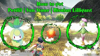 How to find Petilil, Sun Stone, and Hisuian Lilligant | Pokémon Legends: Arceus