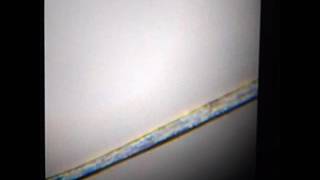 Split ends under uhandy microscope