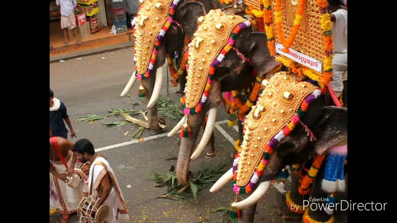 Kaiparambu kavu pooram 2017 padinjattumuri