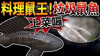 【 琵琶鼠魚煮來吃?!你敢吃嗎鼠魚料理方式!!】 Teach you how ... 