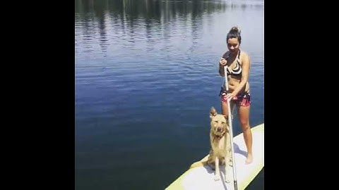 My graceful docking of the paddle board