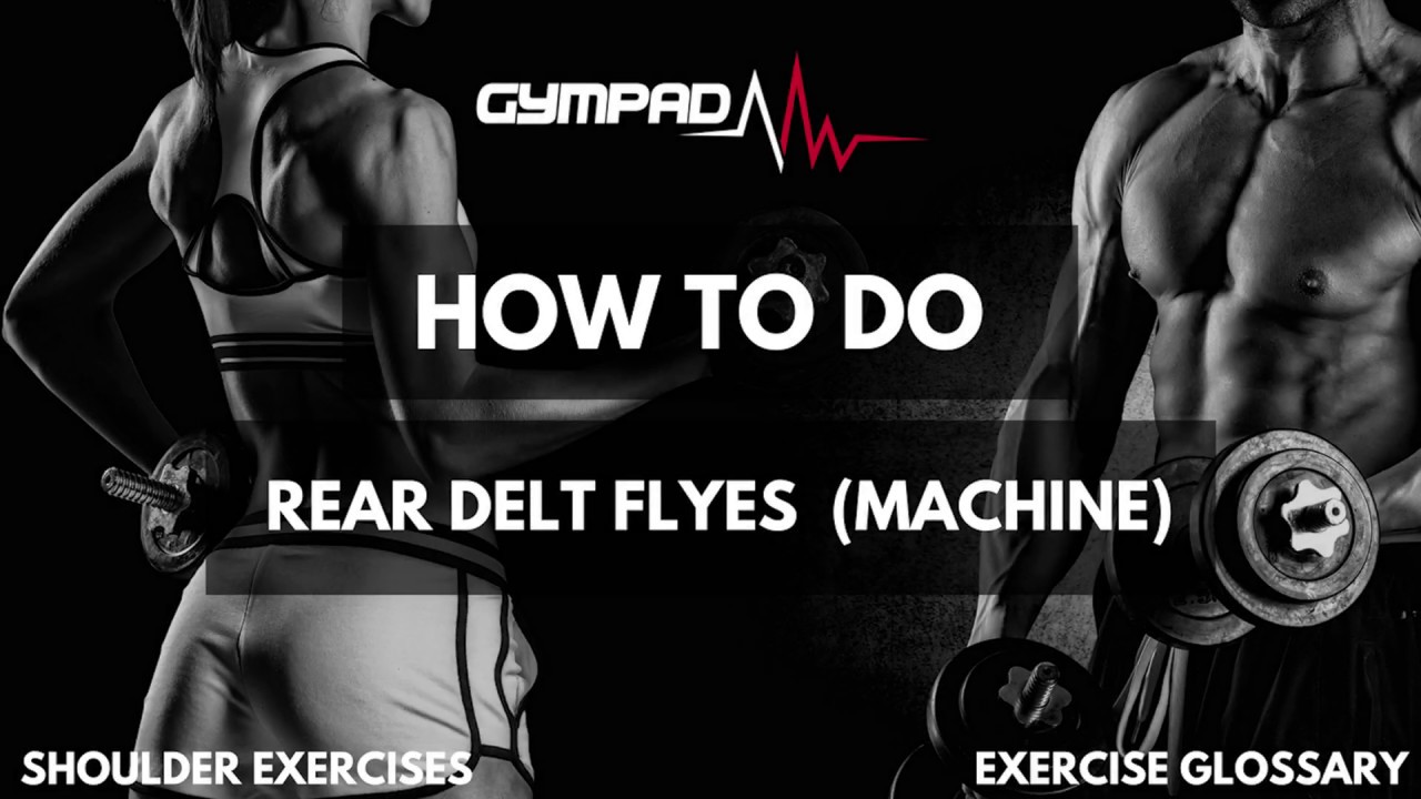 GymPad Fitness | How To Do A Rear Delt Fly Machine - YouTube