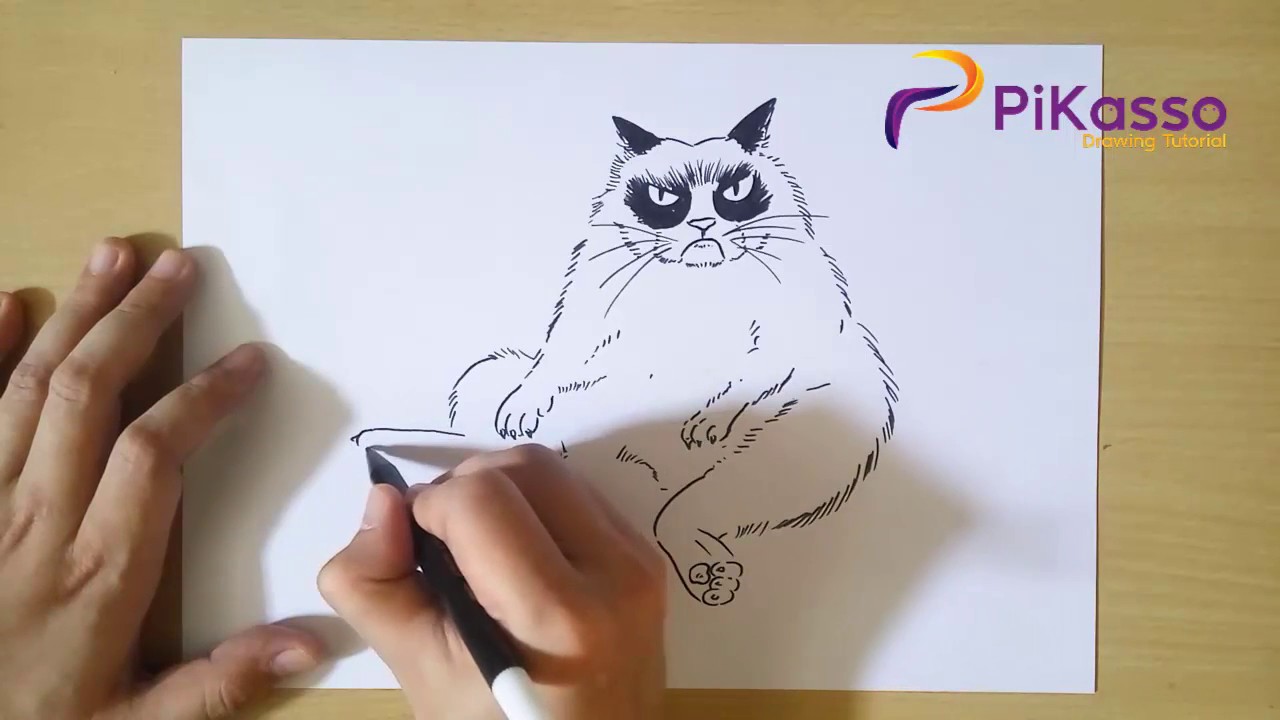 How to Draw a Grumpy Cat - DrawingNow