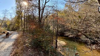 Fall in Upstate SC / North Saluda River by Mountains River Sea 41 views 6 months ago 2 minutes, 26 seconds