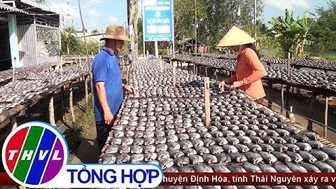 Nghề ép chuối, nghề làm khô ở Cà Mau nhộn nhịp đón Tết