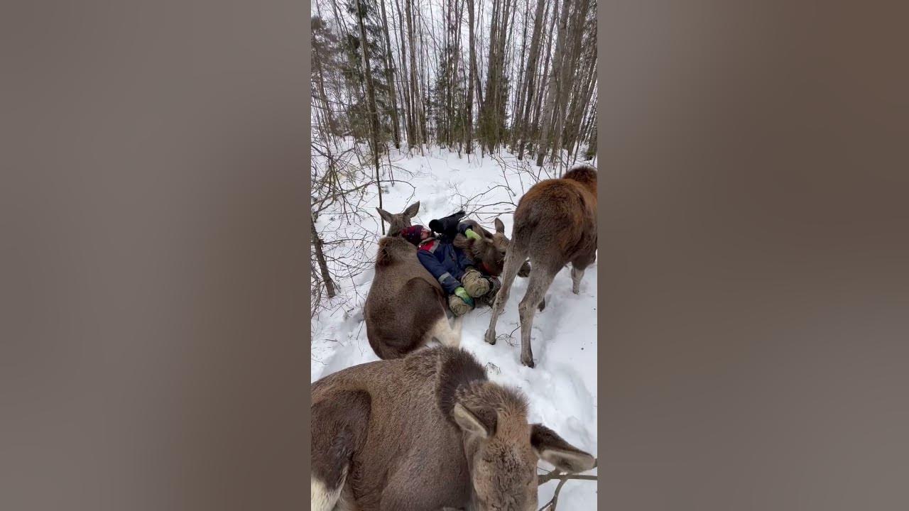 Когда замерз 🥶 - YouTube