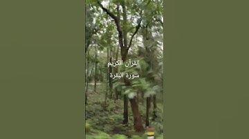 #egzonibrahimi #القرآن_الكريم #سورة_البقرة #hearttouching beautifull tilawat e Qur'an kareem #travel
