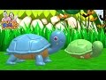 เพลง เต่า  เพลงเด็ก -Turtle Song By KidsMeSong