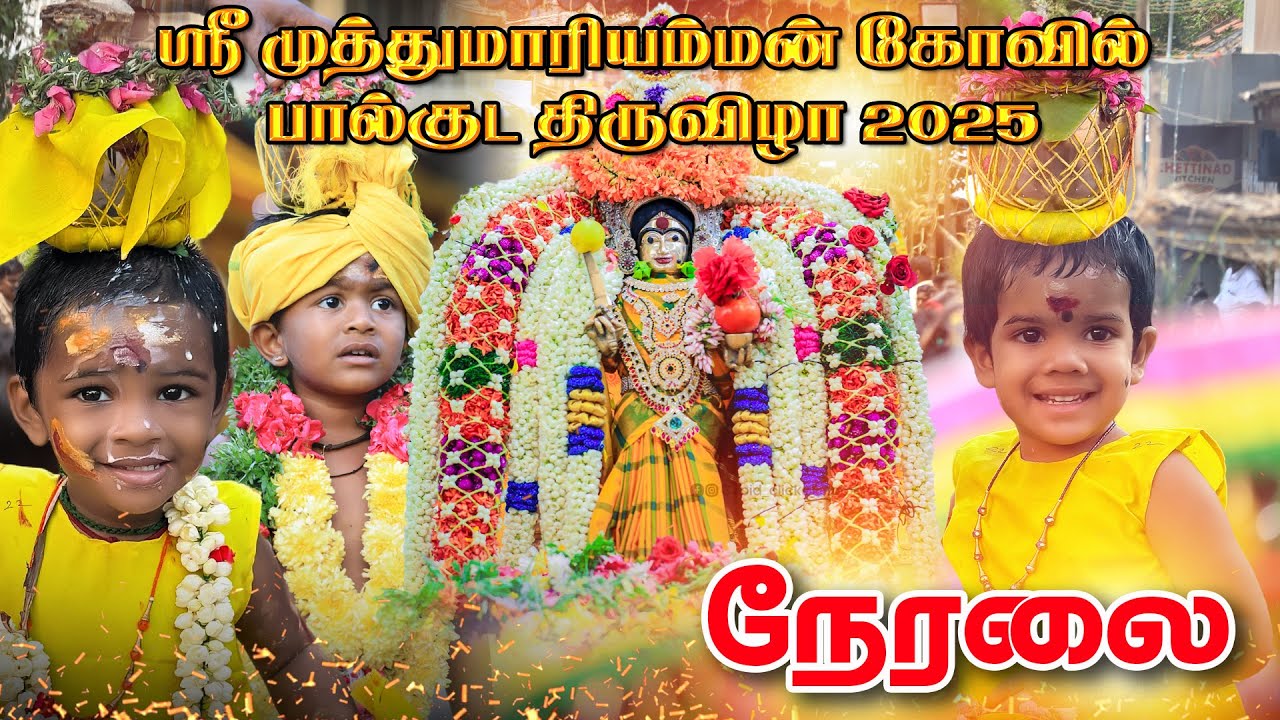 🔴Live Muthumariyamman Kovil Thiruvizha 2025 | Karaikudi | HD Media | ஸ்ரீ முத்துமாரியம்மன் திருவிழா