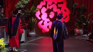 BFA Visual and Critical Studies, 2026