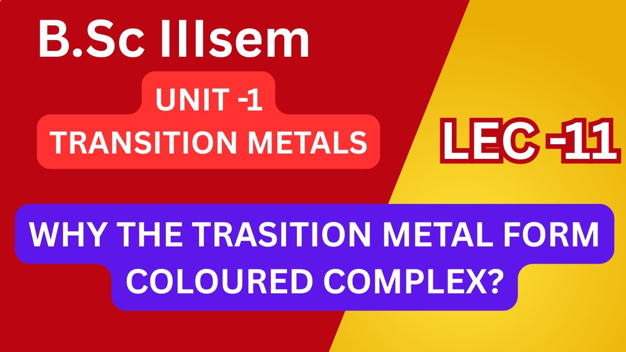 B.Sc 3rd Sem | Why Transition Metals Form Coloured Complexes