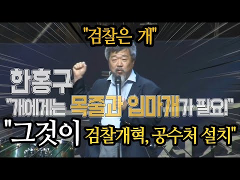 한홍구 &amp;quot;&amp;#39;주인 무는 개&amp;#39;, 검찰에게 목줄과 입마개를&amp;quot;