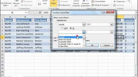 Excel 2010 Tutorial Applying a Custom AutoFilter Microsoft Training Lesson 25.3