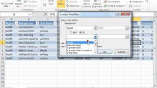 Excel 2010 Tutorial Applying a Custom AutoFilter Microsoft Training Lesson 25.3
