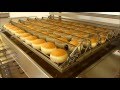 JUFEBA Fettbackgerät Serie WW-AT (Donut Fryer)