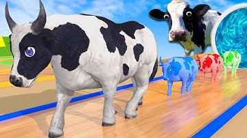 Con Bò vui nhộn🐮 Mẹ ơi tại sao❤️đi chơi thú nhún🐎 Nhạc Thiếu Nhi Remix