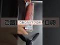 マグロ卵はこれよ #shorts