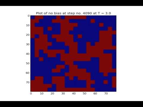 2D Ising Model - High Temperature