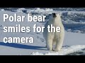 Polar Bear Sighting Aboard USCGC Healy