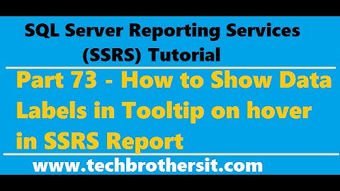 SSRS Tutorial 73 - How to Show Data Labels in Tooltip on hover in SSRS Report