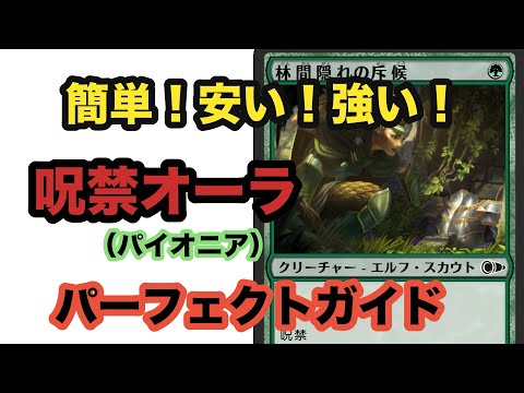 今月だけでも200マッチまわした魂のデッキ。呪禁オーラについて