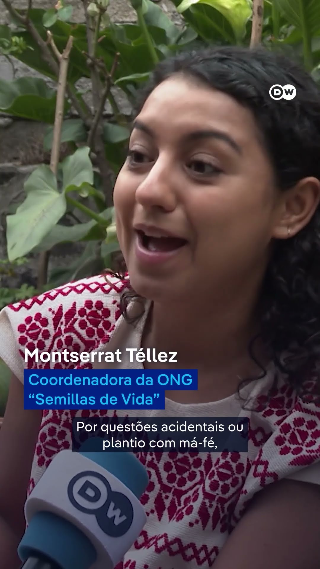 Deputados mexicanos aprovam medida contra milho transgênico #shorts