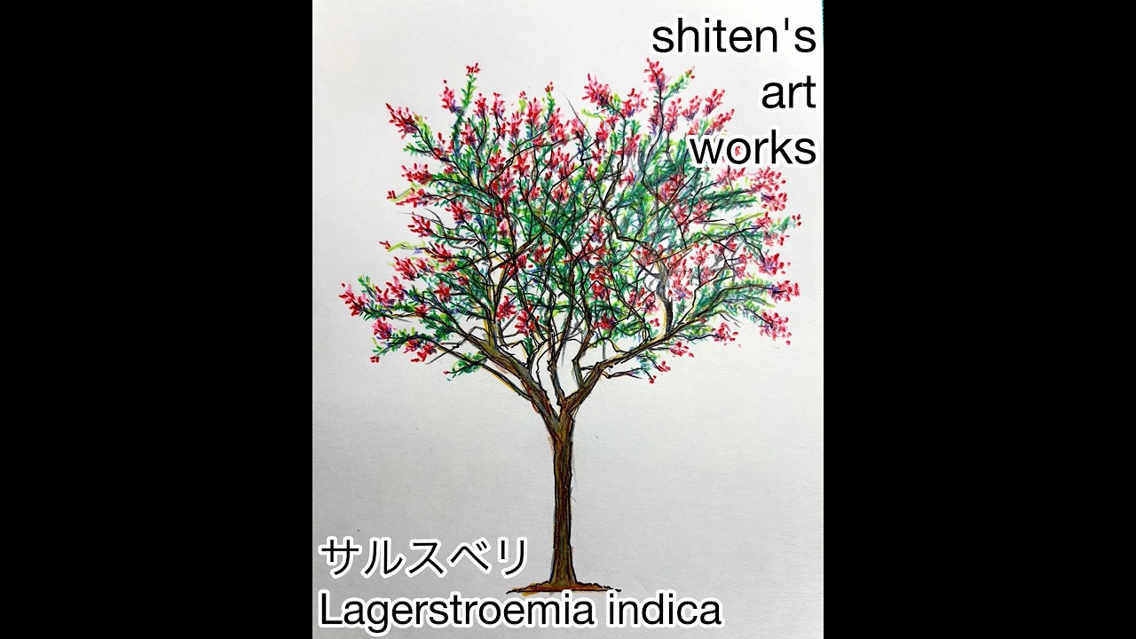 始天のアートワーク「サルスベリ」】shiten's art works - YouTube