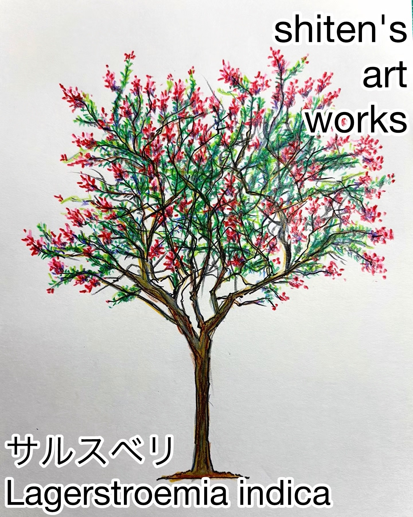 始天のアートワーク「サルスベリ」】shiten's art works - YouTube