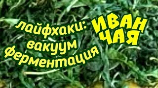 Ферментация иван-чая с лягушкой. Лайфхак по вакуумированию Ферментация иван-чая с лягушкой. Лайфхак по вакуумированию