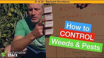 31 of 33 - Backyard Abundance - How to Control Weeds and Pests